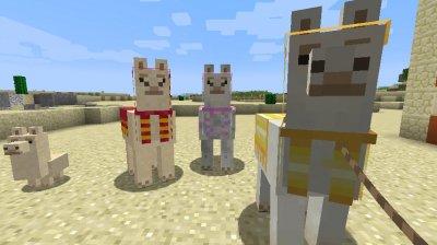 ��������� ��������� ������ �� �������