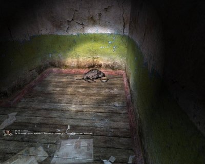 ������� �������� ������� 2016