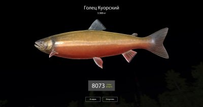 ������� ������� 4