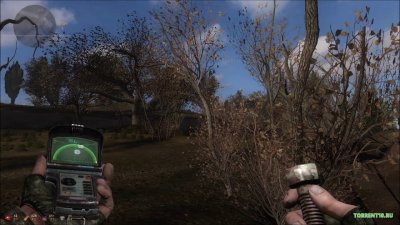 ����� ������ ����� ������� 3